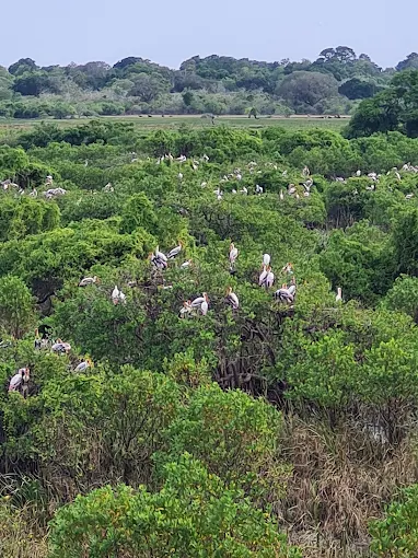 History of Kumana National Park
